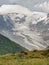 Marmot in Hohe Tauern