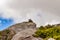 marmot perched high up on boulder against cloudy sky with blue showing through