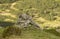 A marmot on a rock is carefully watching the valley. Tatra Mountains