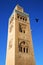 in maroc africa minaret and the bird