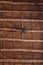 Maroccan wooden twig ceiling. Bamboo ceiling in african house. Traditional wooden ceiling in the home of the Berbers