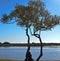 Maroochy River, Maroochydore, Sunshine Coast, Queensland, Australia