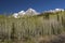 Maroon Bell Mountains