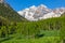 Maroon Bells And Summer Aspen Grove