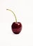 Maroon dark red cherry isolated on a white background