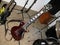 Maroon Gibson Les Paul Custom