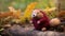 Maroon Knitted Beaver Toy On Log In Woods
