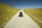 A maroon Model T driving down a scenic road surrounded by spring flowers off of Route 58, Shell Road, CA