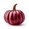 Maroon Pumpkin Isolated On White Background