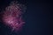 Maroon red pink celebration fireworks over night sky