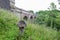 Marple Romiky viaduct mushroom carving