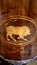 Marquetry image of a bull on commode in the furniture collection in the Lady Lever Art Gallery in Port Sunlight in  Merseyside