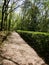 Marqueyssac pruned boxwood gardens in Vezac in the Dordogne