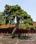 Marquis of Shade, Beihai Park, Beijing