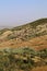 Marrakech nature landscapes in Morocco, Africa. Desert and mountains. Travel Morocco. Wanderlust.