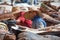 MARRAKESH, MOROCCO - February 2012 - Portrait of tannery workers, old medina