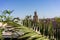 Marrakesh morocco medina with mosque and palm leaf