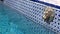 MARRAKESH, MOROCCO - OCTOBER 2019: Close up view of swimming pool with tile mosaic blue and white and golden head of