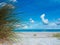 Marram grass, the beach and the sea