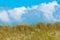 Marram grass dunes under blue sky, Sylt island scenery