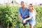 Married couple caring for red roses together in the garden