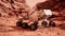 Mars rover perseverance exploring the red planet elements