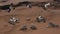 Mars - Satellites - Lander - RoMars - Satellites - Lander - Rovers-animation zoom-out