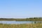 Marsh along Panther Point Trail at Lake Hancock Boat Ramp