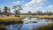 Marsh Of Australia: Hyper-realistic Landscape Drawing Of South Australian Wildflower Plains