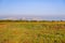 Marsh in Coyote Hills Regional Park; on the background smoke from Soberanes fire is visible, Fremont, San Francisco bay area,