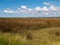 Marsh at Fort Fisher State Historic Site