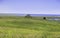 Marsh at the Fort Hill area in Wellfleet, MA Cape Cod.