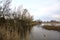 A marsh full of reeds in marsh next to a park in the italian countryside in winter