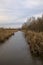 A marsh full of reeds in marsh next to a park in the italian countryside in winter