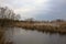 A marsh full of reeds in marsh next to a park in the italian countryside in winter