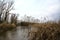 A marsh full of reeds in marsh next to a park in the italian countryside in winter