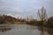 A marsh full of reeds in marsh next to a park in the italian countryside in winter