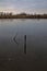 A marsh full of reeds in marsh next to a park in the italian countryside in winter