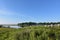 Marsh Grass Surrounding Duxbury Bay in Southeastern Massachusetts