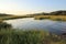 Marsh and Grasses