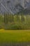 Marsh grasses, boreal forest and Rocky Mountains at Muncho Lake