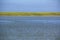 Marsh grasses at Salt Pond Bay on Cape Cod, Massachusetts