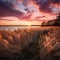 Marsh grasses at sunset in fall at Milford