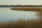 Marsh grasses at sunset in fall at Milford Point, Connecticut.