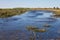 Marsh habitat, at the Bwabwata National Park, Namibia