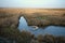 Marsh land with debris in South Wales