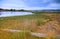 Marsh lands in Whidbey island