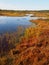 Marsh landscape