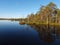 Marsh landscape