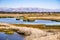 Marsh Landscape, Coyote Hills Regional Park, East San Francisco Bay Area, Fremont, California